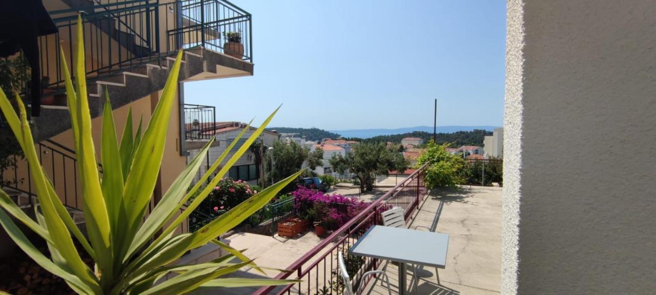 Apartment Ana *